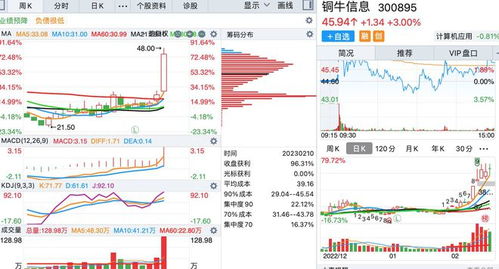 底部周線放出巨量的個(gè)股名單 聚焦信息系統(tǒng)集成服務(wù)板塊